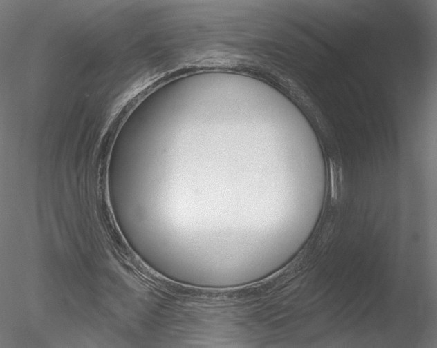 X0000078310675200611031048