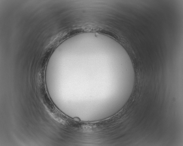 X0000078310690200611031047