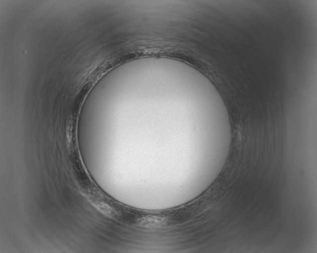 X0000078310691200611031047
