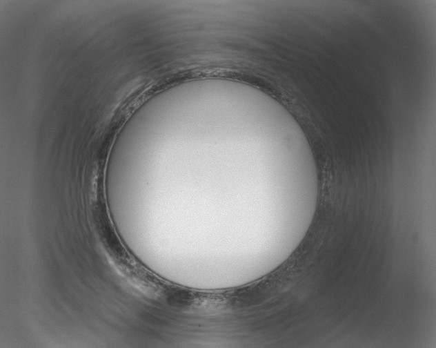 X0000078310694200611031047