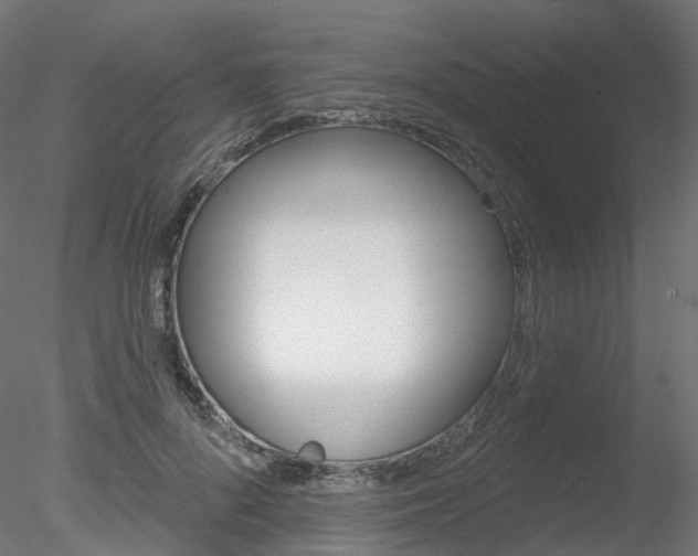 X0000078310696200611031047