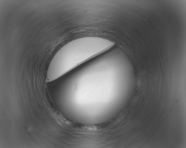 X0000078310715200611031047