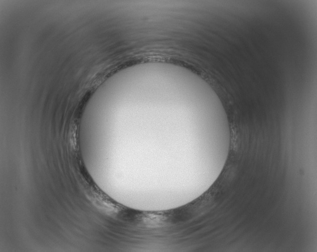 X0000078310718200611031047