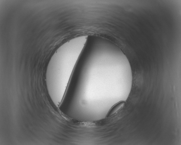 X0000078310719200611031047