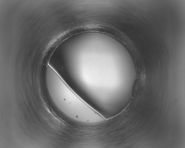 X0000078310732200611031046