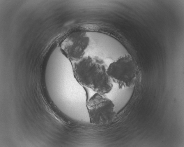 X0000078310733200611031046