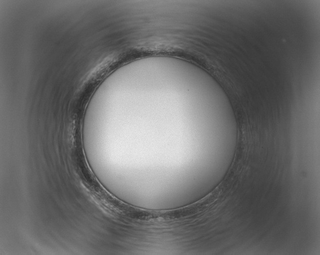 X0000078310735200611031046