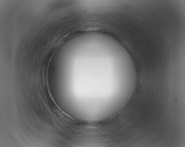 X0000078310743200611031046