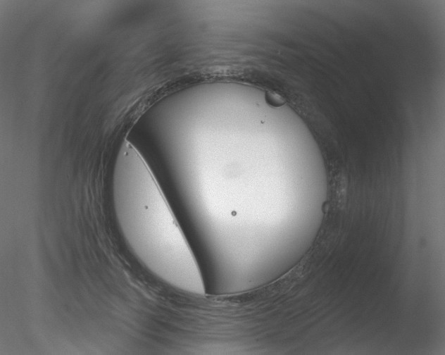 X0000078310746200611031046