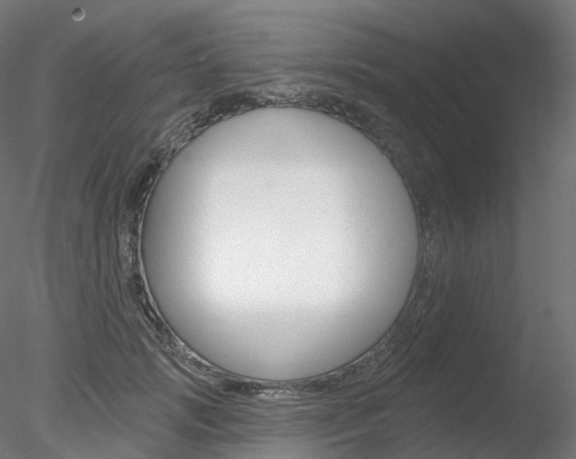 X0000078310749200611031047