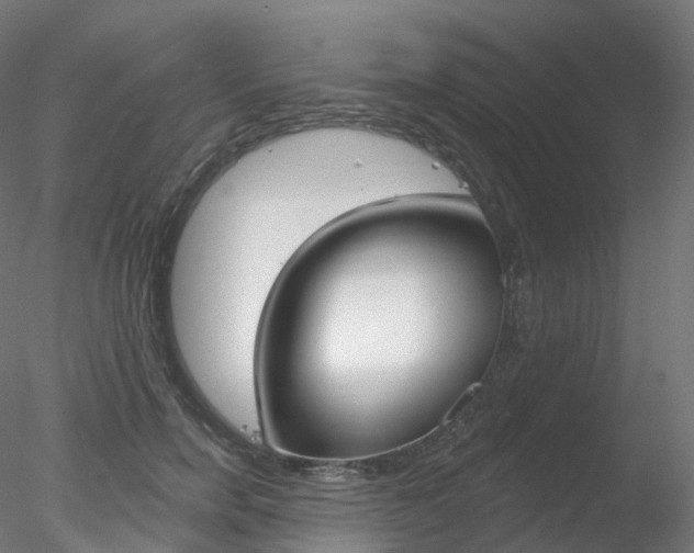 X0000078310750200611031047