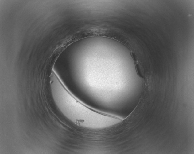 X0000078310752200611031047