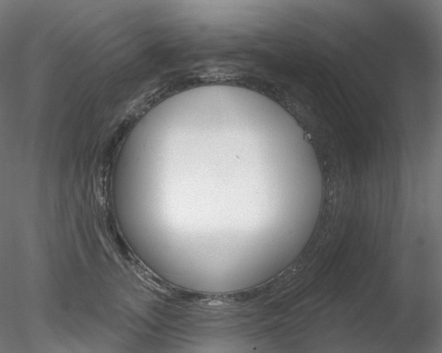 X0000078310755200611031047