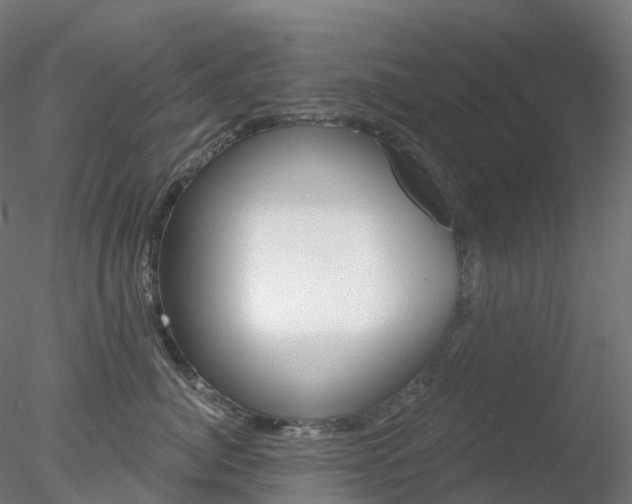 X0000078310764200611031047