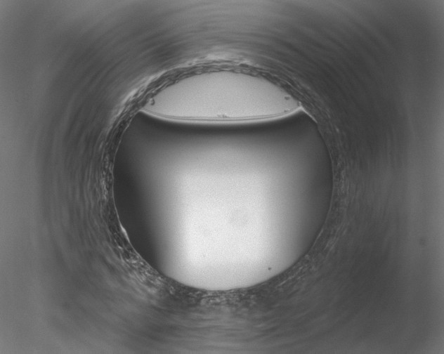 X0000078310776200611031046