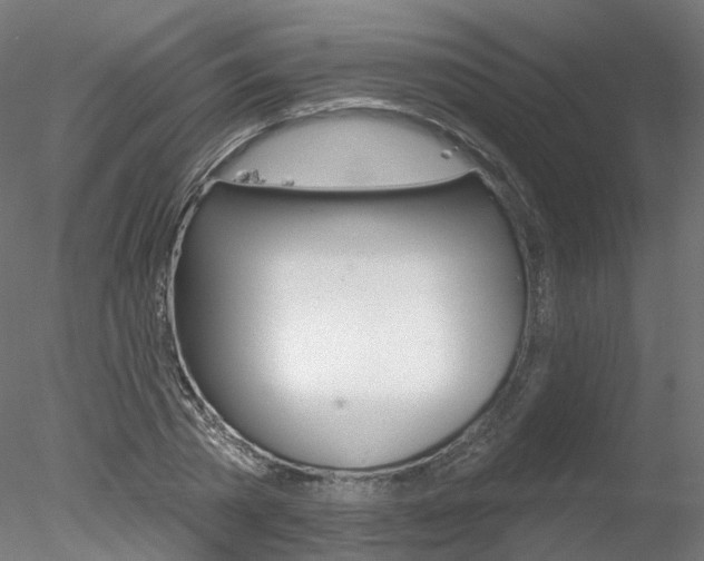 X0000078310785200611031046