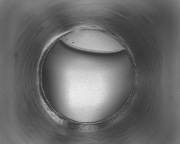 X0000078310795200611031046