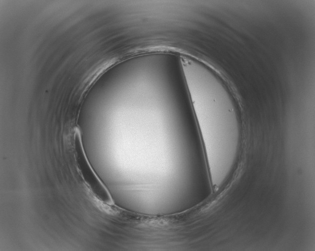 X0000078310801200611031045