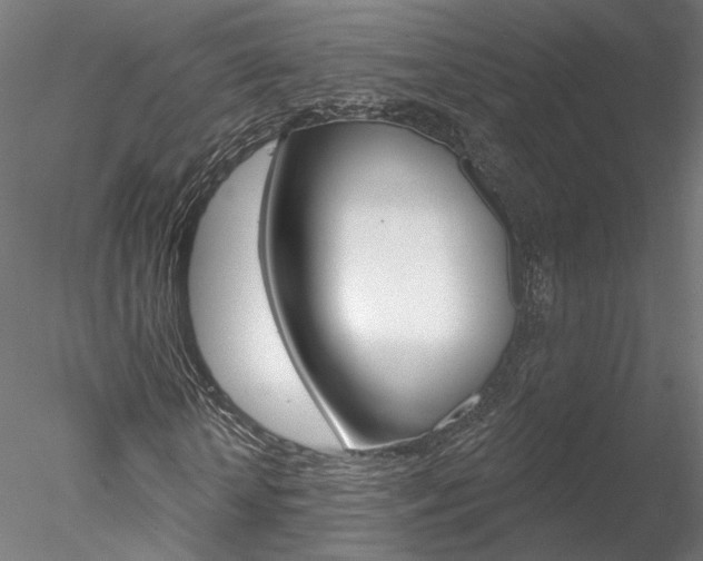 X0000078310818200611031044