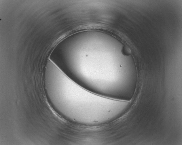 X0000078310841200611031045