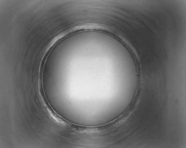 X0000078310845200611031045