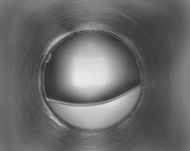 X0000078310846200611031045