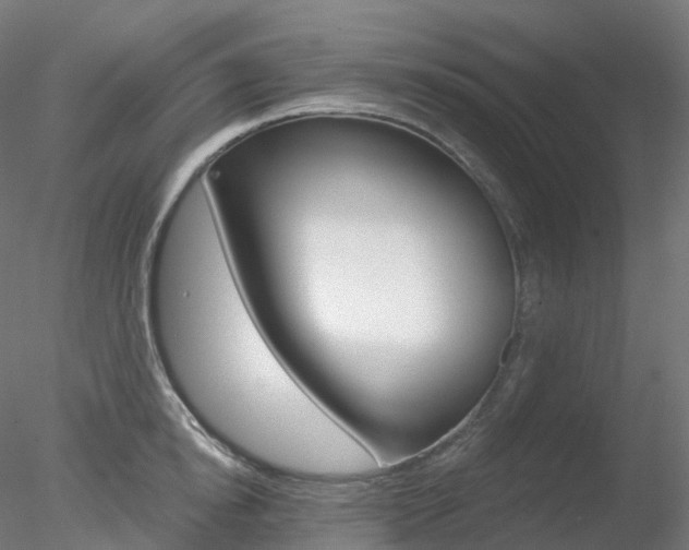 X0000078310854200611031045