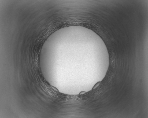X0000078310866200611031044