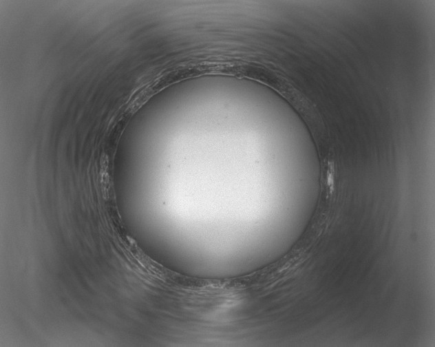 X0000078310867200611031044