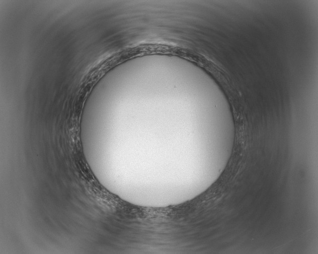 X0000078310870200611031044