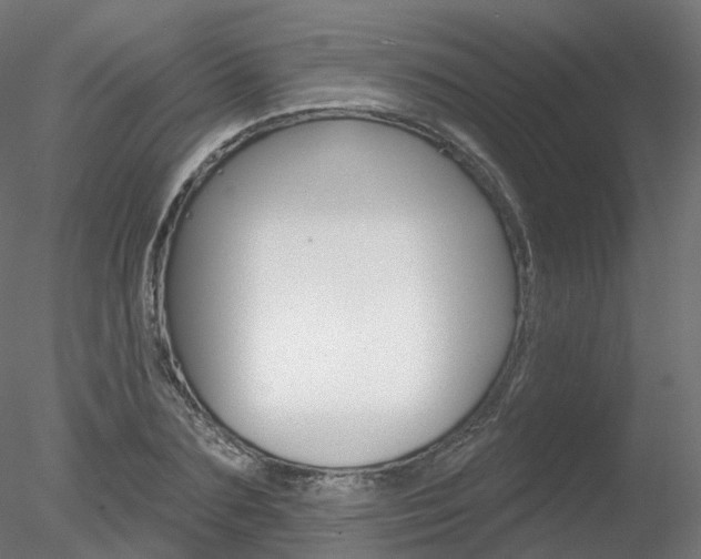 X0000078310883200611031044