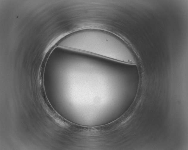 X0000078310885200611031044