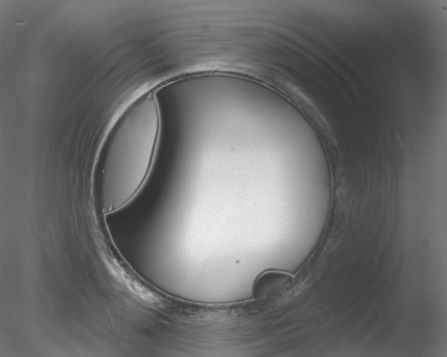 X0000078310892200611031044