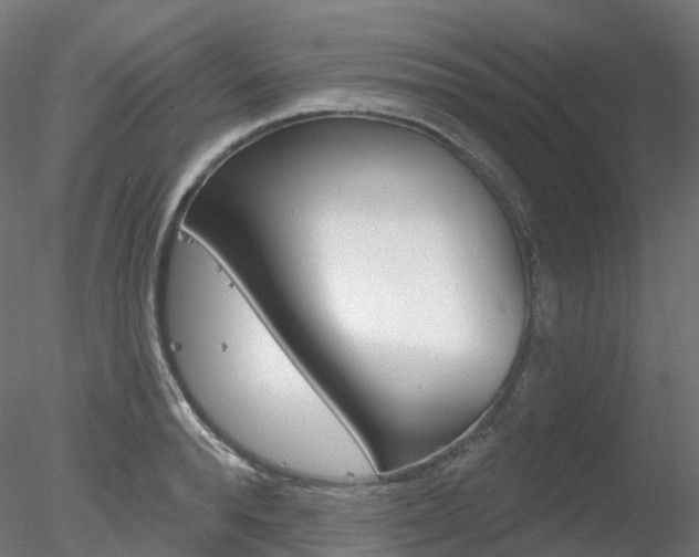 X0000078310896200611031044