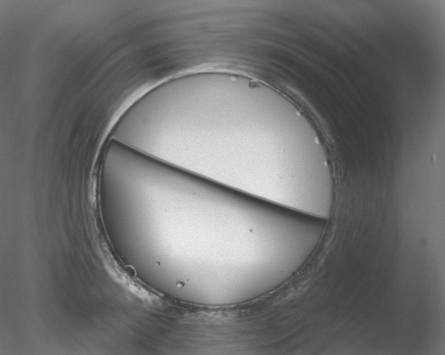 X0000078310900200611031044