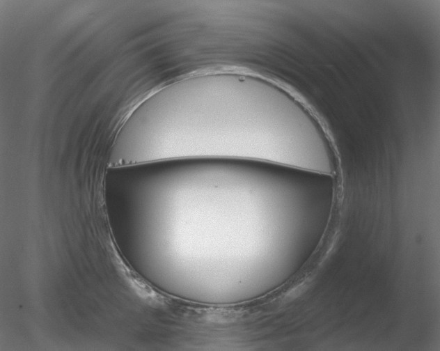 X0000078310905200611031044