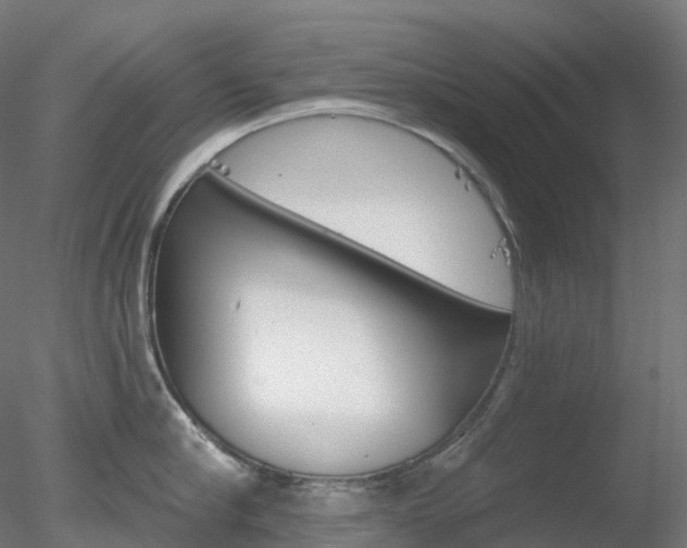 X0000078310910200611031044