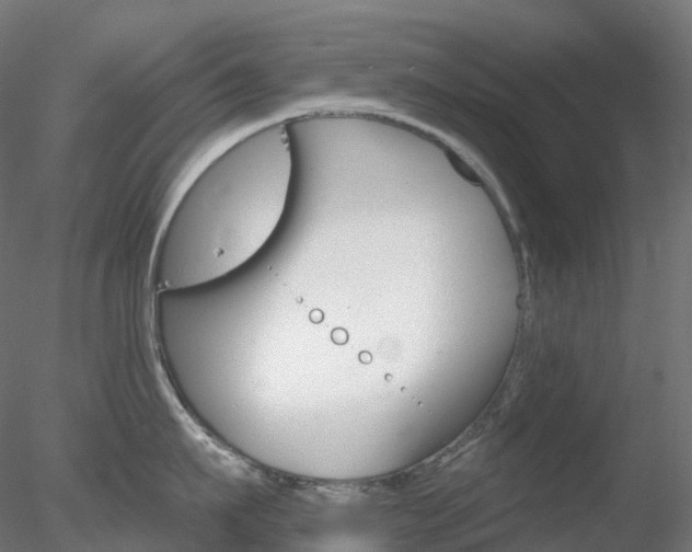 X0000078310911200611031044