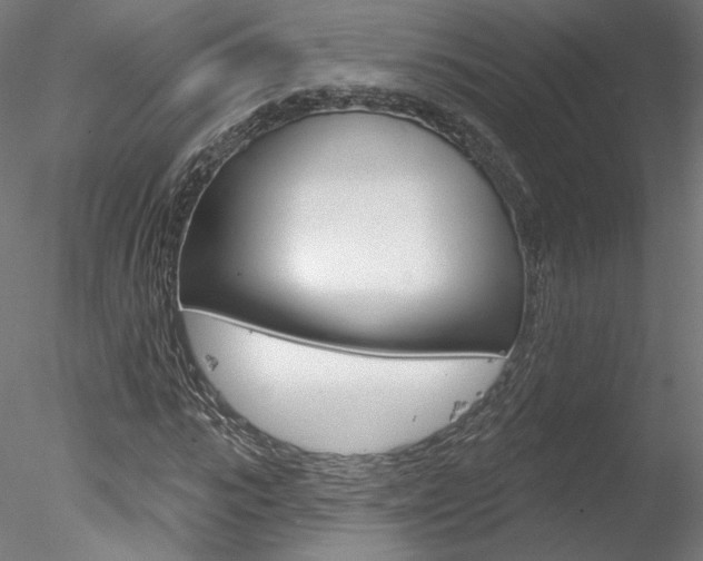 X0000078310919200611031043