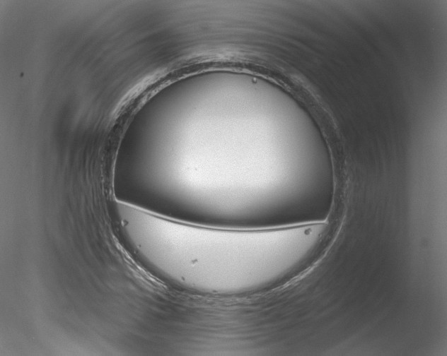X0000078310922200611031043