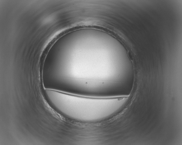 X0000078310934200611031043