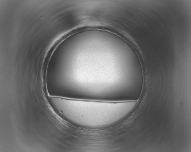 X0000078310935200611031043