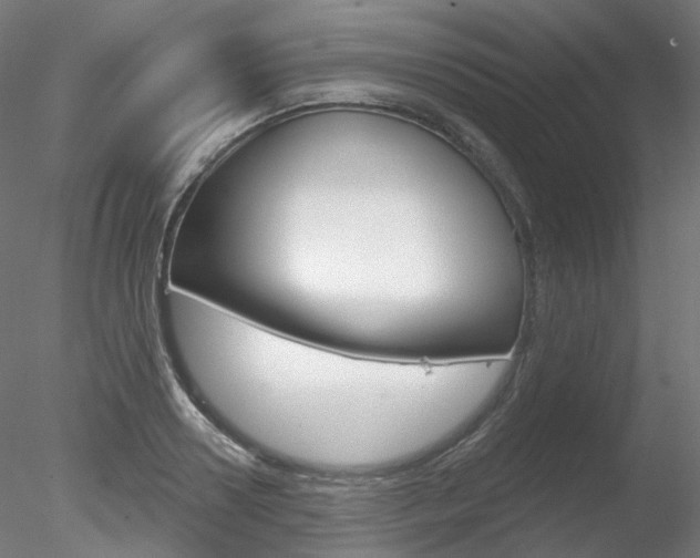 X0000078310938200611031043