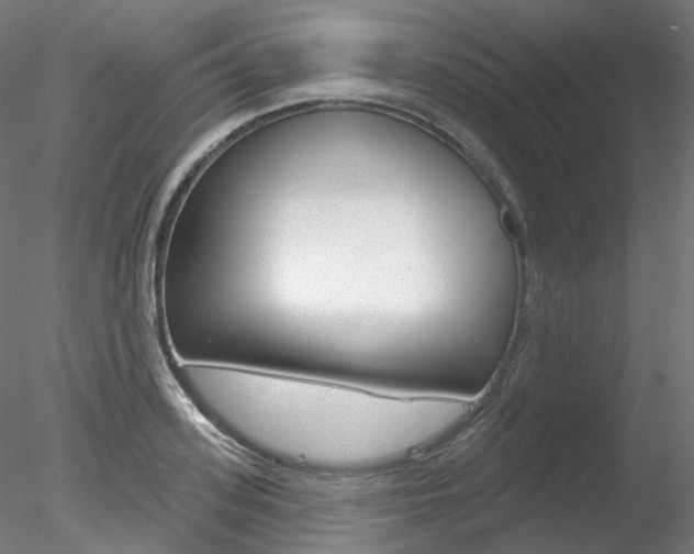 X0000078310939200611031043