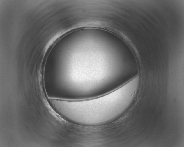 X0000078310944200611031043
