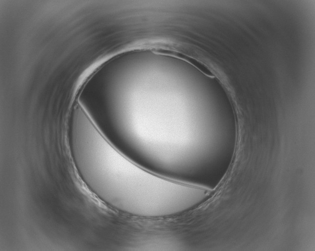 X0000078310960200611031044