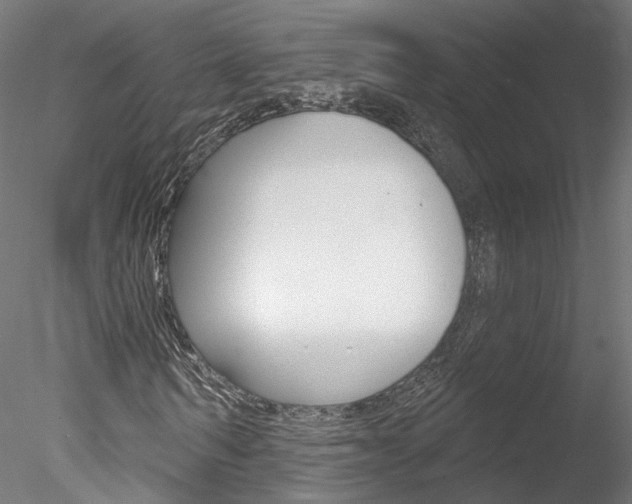 X0000078310962200611031043