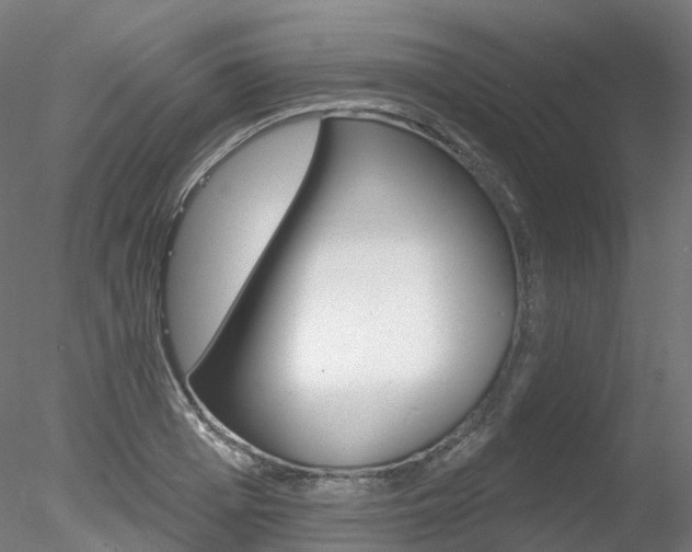 X0000078310985200611031042