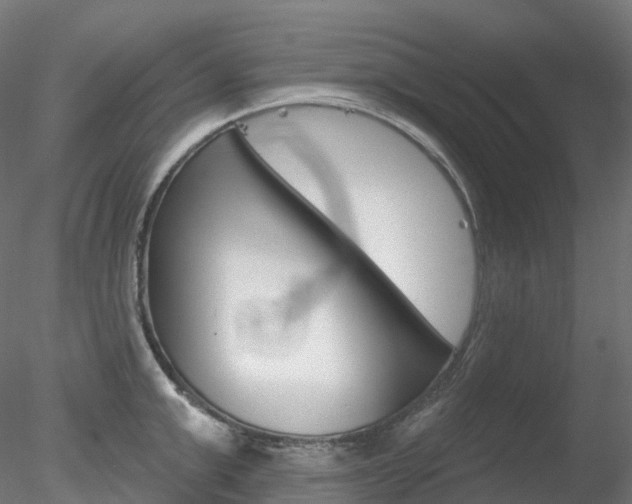X0000078310999200611031042