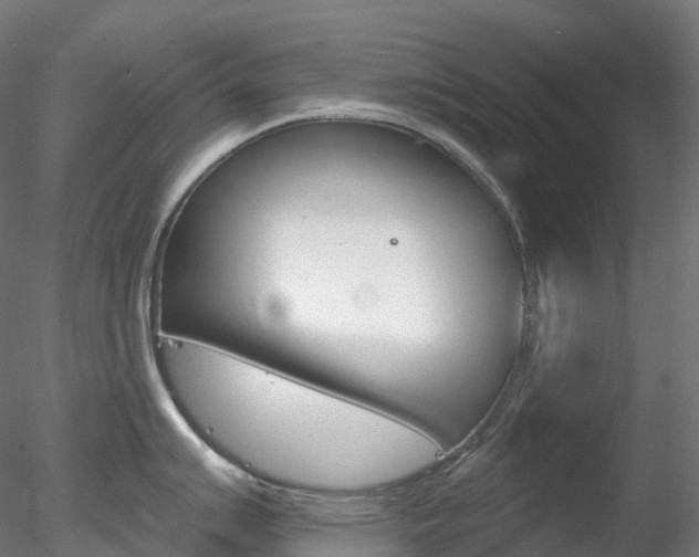 X0000078311007200611031042
